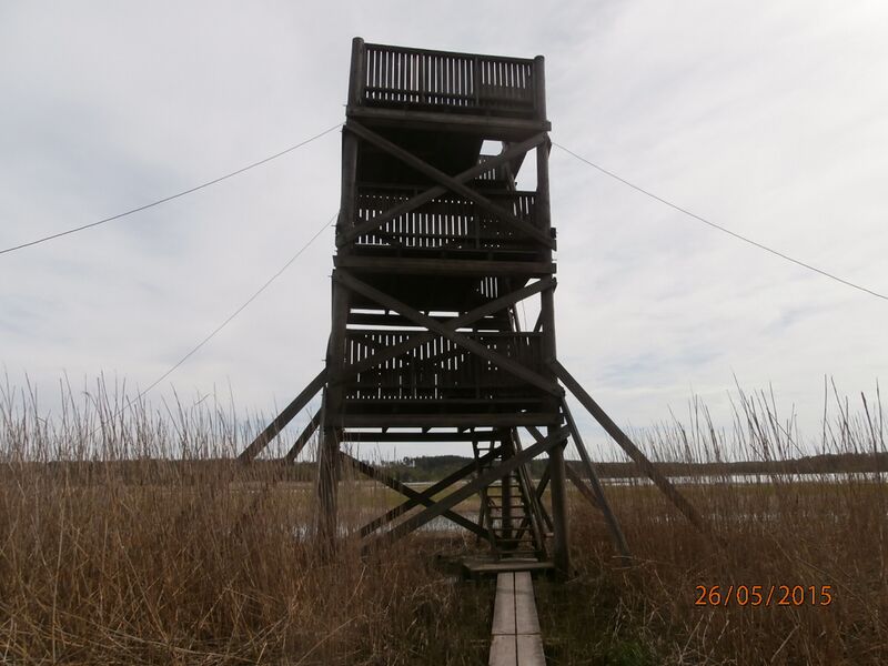 Tiedosto:Sikosaaren lintutorni.JPG