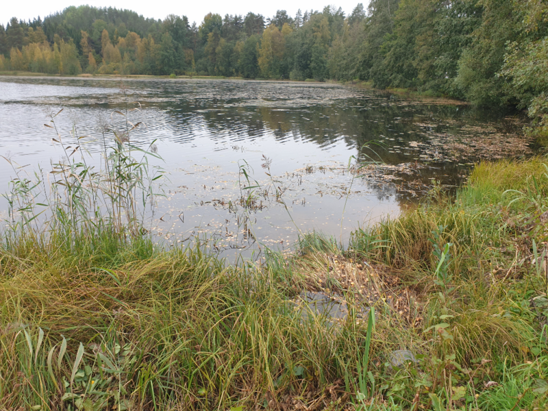 Tiedosto:Urpolanlampi (04.152.1.001)-Uusi hulevesiputki-ObsIMG-202409241041-66f26d9508761.png