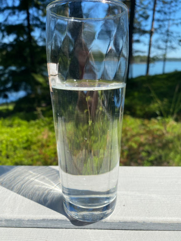 Inkoo Fagervik-Österviken, Jakob Ramsjö-ObsIMG-202206251101-62b6c24f403fa.png