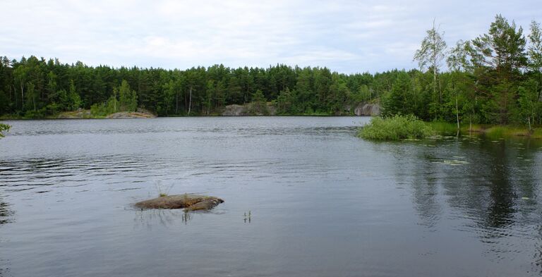 Lilla Masugnsträsket.jpg