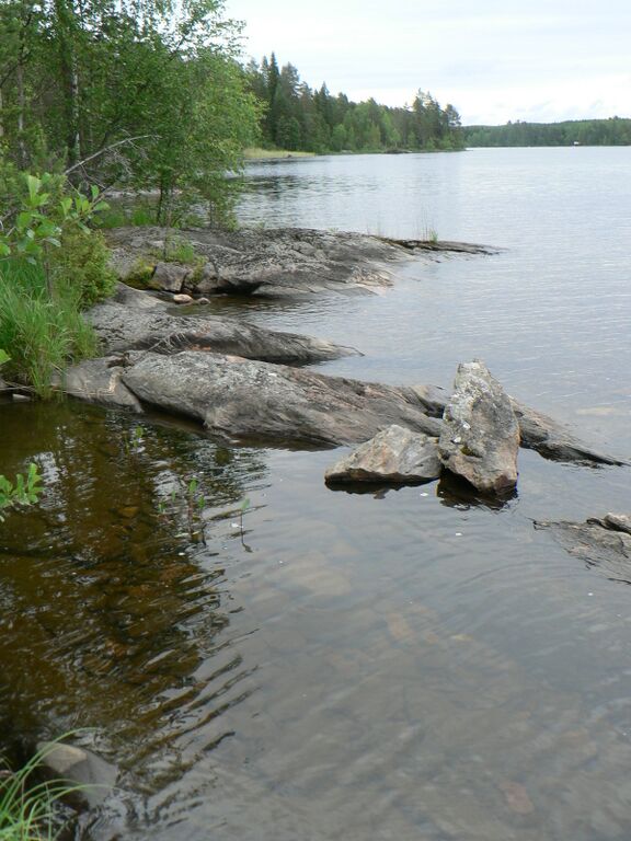 Riihilahden pohjoisrantaa 012.jpg