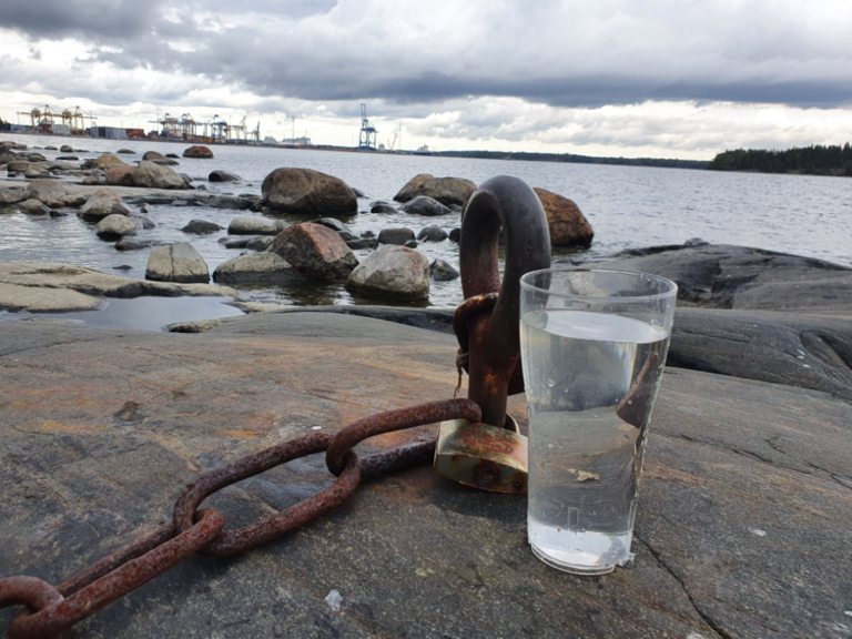 Sipoon saaristo-Rotarien sinileväseuranta (Skatanluoto)-ObsALG-202109061553-61360f8b9a684.png