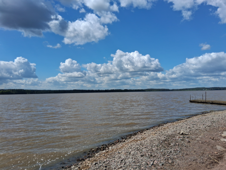 Villikkalanjärvi (16.003.1.003)-Valtakunnallinen sinileväseuranta-ObsIMG-202506061428-1749209533345.png