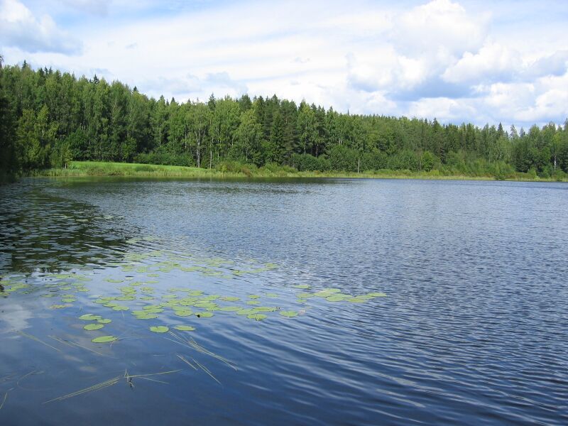 Tiedosto:Jauholampi 2.JPG