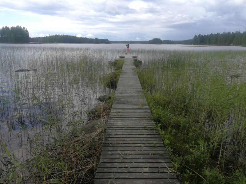 Tiedosto:Kutunjärvi (04.265.1.032)-Ysipirtti-ObsIMG-201907061728-55.jpg