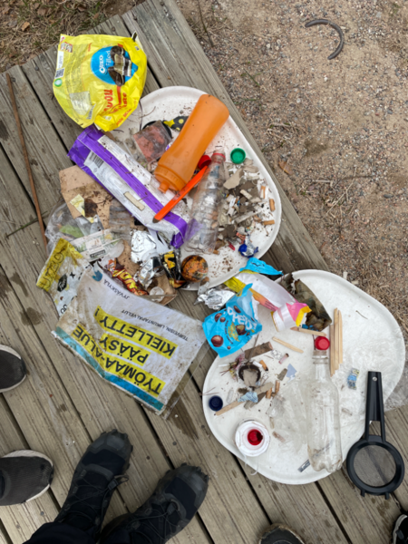 Tiedosto:Myllylampi (14.295.1.014)-Myllylampi-ObsIMG-202405061845-6638fbfda2592.png