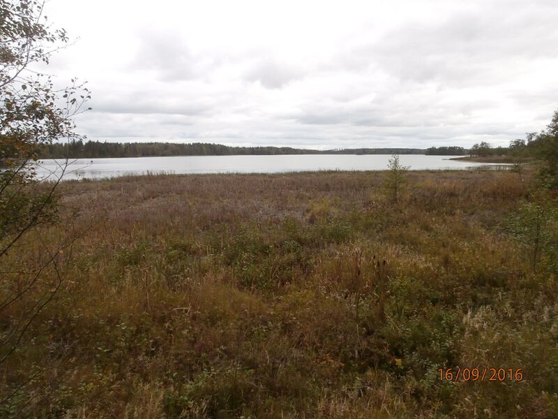 Tiedosto:Salinkaan lintutornista.JPG