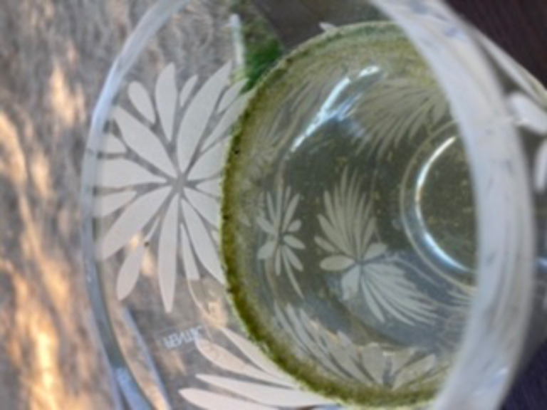 Ukonvesi (Saimaa) (04.151.1.001)-Koivukummunpolku-ObsALG-202206301632-62bdc24a47770.png