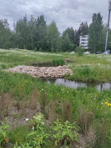 Tiedosto:Viinikanojan valuma-alue (35.214)-Nallenpuisto-ObsIMG-202506161046-684fcc3bde992.png