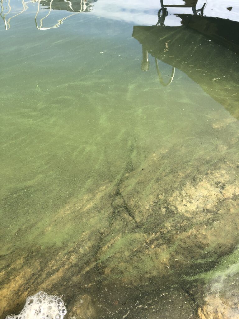 Kirkonsalmi - Nuikonlahti-Puikonlahti-ObsIMG-201907071116-81.jpg