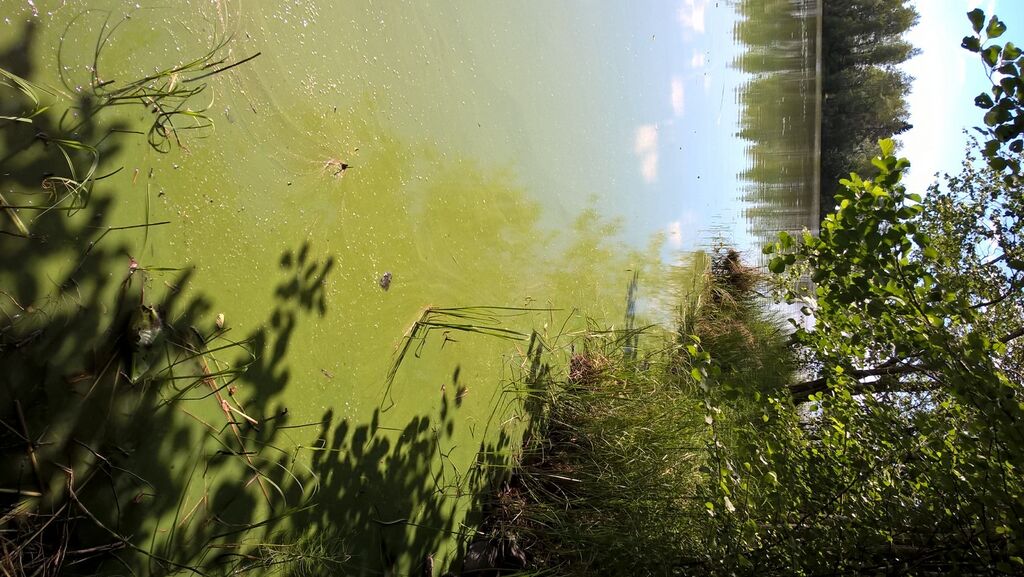 Niilesjarvi 13072018.jpg