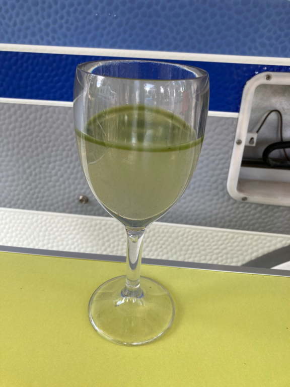 Pitkäjärvi (35.121.1.003)-Koirien uimaranta-ObsIMG-202107121246-60ec106d02a59.png