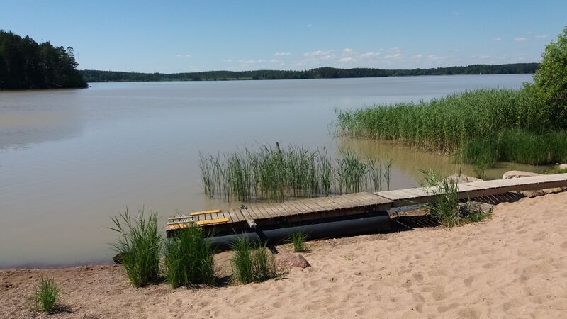 Tiedosto:Sääskjärvi (16.004.1.001)-Valtakunnallinen sinileväseuranta-ObsIMG-202006231259-33.jpg
