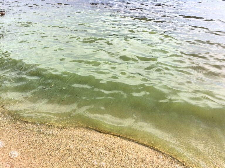 Simojärvi (yhd.)-Petäjäniemi-ObsIMG-202007161620-58.jpeg