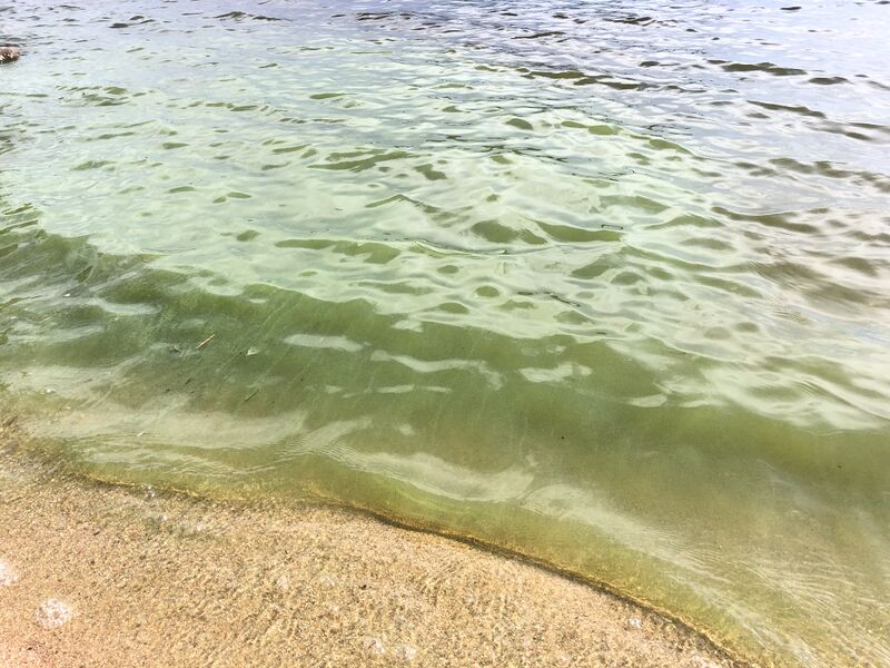 Tiedosto:Simojärvi (yhd.)-Petäjäniemi-ObsIMG-202007161620-58.jpeg