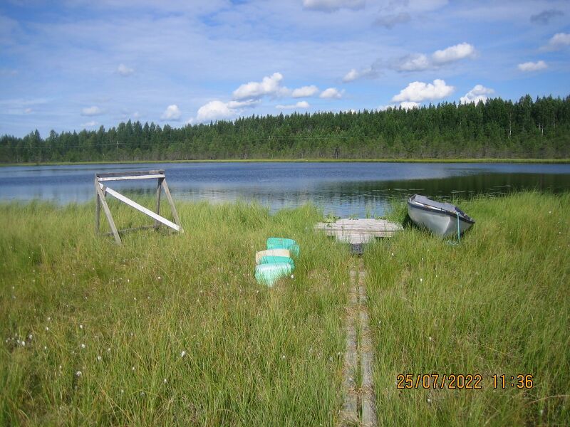 Tiedosto:Eskolanjärvi 1.JPG