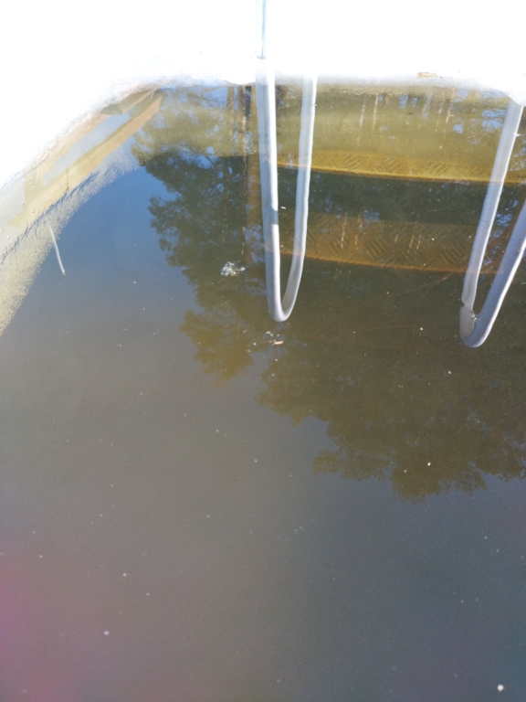 Hulkkianjärvi (11.006.1.014)-Havainnot-ObsIMG-202304071100-642fe146aa4f9.png