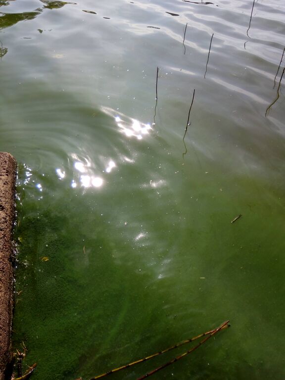 Jalanti (35.281.1.002)-Vuoltee-ObsIMG-201908251145-67.jpg