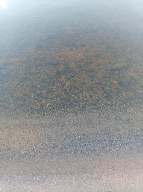 Lappajärvi (47.031.1.001)-Valtakunnallinen sinileväseuranta (Kivitippu)-ObsALG-202108311627-612e2e96c444e.png