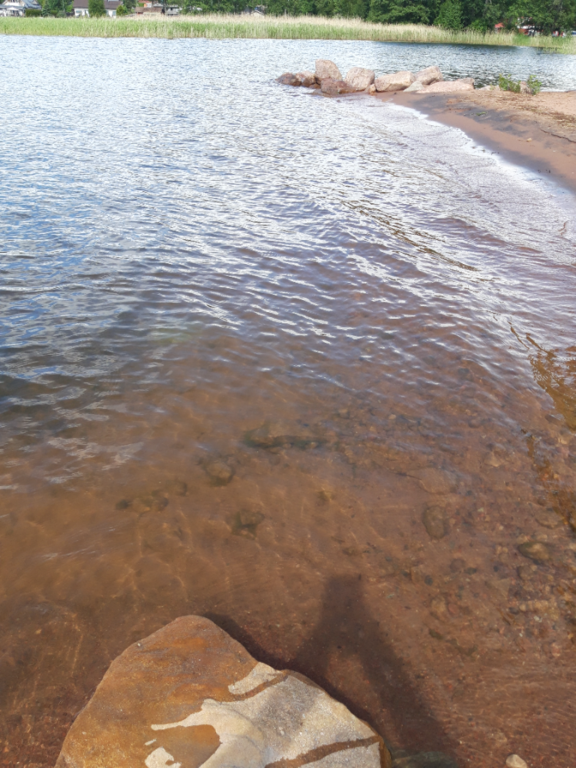 Pyhäjärvi (34.031.1.001)-Valtakunnallinen sinileväseuranta (Katismaan uimaranta)-ObsALG-202206141511-62a87b40ba6ec.png