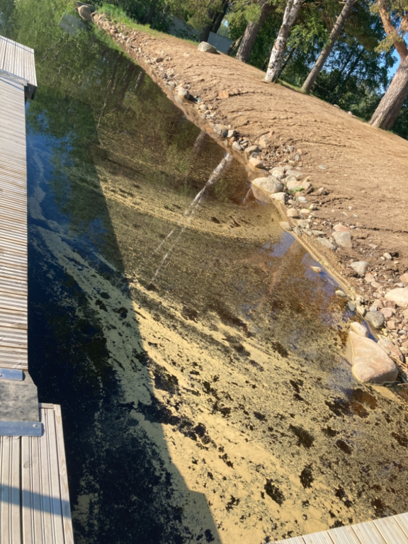 Alajärvi (47.043.1.001)-Valtakunnallinen sinileväseuranta (Pynttärinniemi, Hauta-ahon uimapaikka)-ObsIMG-202106090730-60c044b1e40ed.png