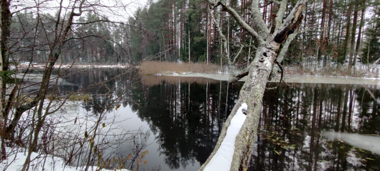 Emolanjoen valuma-alue (04.153)-Kalevankangas-ObsIMG-202311041337-65462d2d85fd3.png