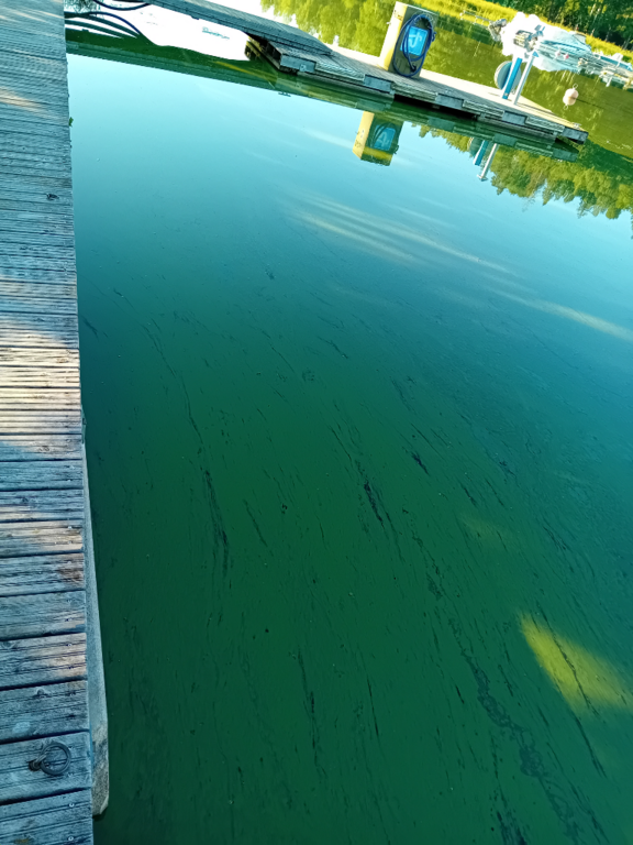 Hiidenvesi (23.031.1.001)-Kirkonkylän veneranta-ObsALG-202407130831-669211a2688f9.png