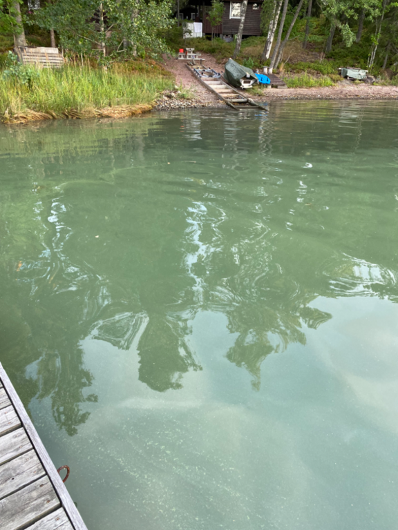 Inkoo Fagervik-Österviken, Jakob Ramsjö-ObsALG-202208202016-6301176f55c5e.png