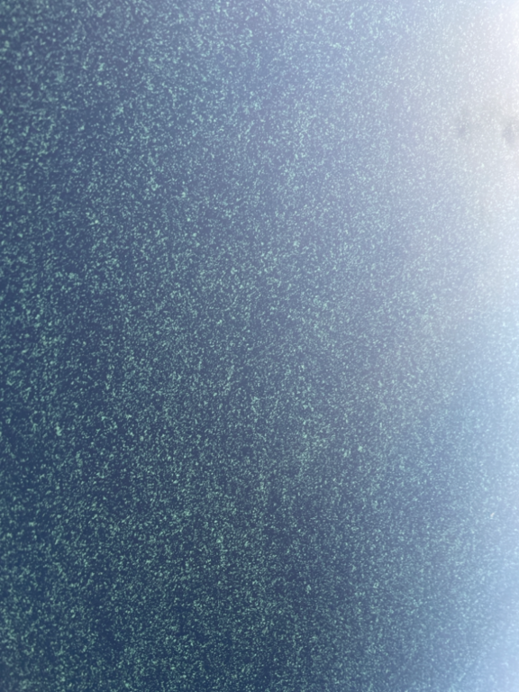 Kallavesi (yhd.)-Vaajasalo, eteläranta-ObsALG-202106202223-60cf9680357ed.png