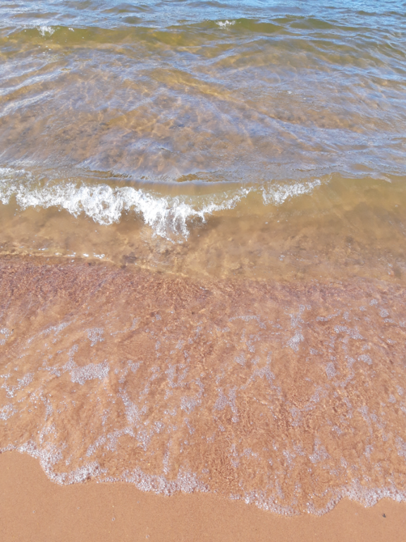 Pyhäjärvi (34.031.1.001)-Valtakunnallinen sinileväseuranta (Katismaan uimaranta)-ObsALG-202108031420-610926fb9740f.png