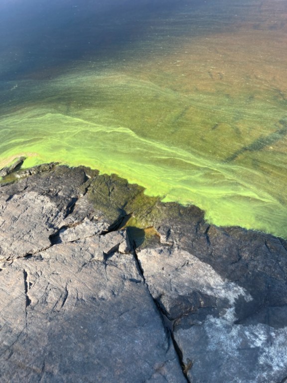 Ruovesi (yhd.)-Pöytäselkä Puukkosaari-ObsALG-202108301113-612c94592211c.png