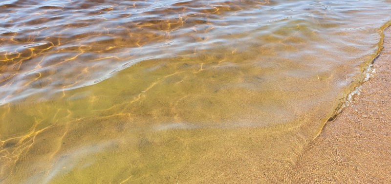 Tiedosto:Saimaa (04.112.1.001)-Huuhanranta-ObsIMG-202107051056-60e2bc1264c0f.png