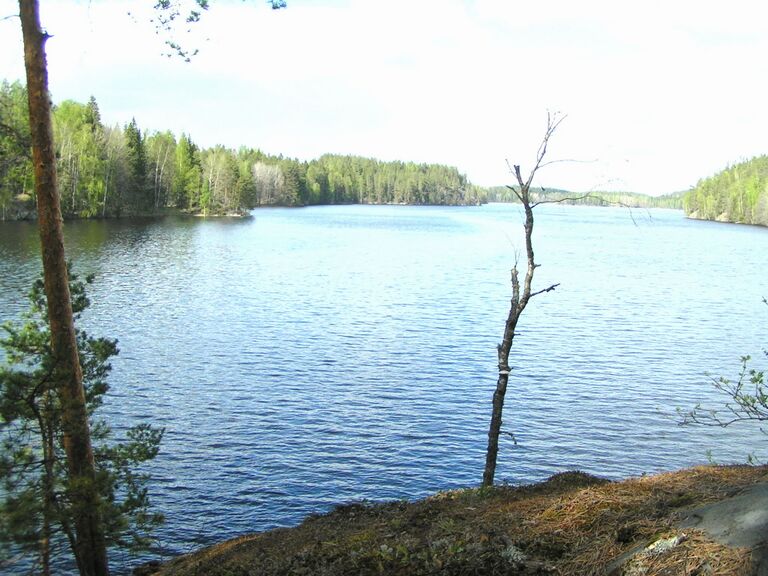 Suolijärvi0003.JPG