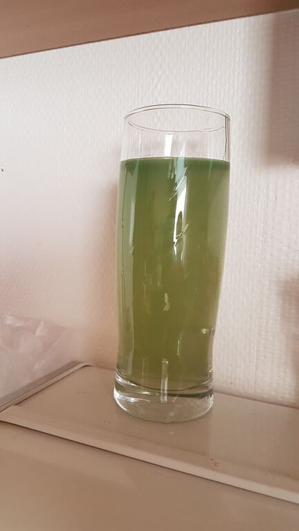 Syväjärvi (65.598.1.004)-Syväjärvi uimaranta -ObsALG-201907201204-30.jpg