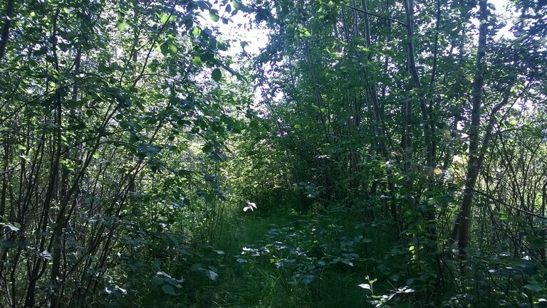 20140713 114440000 iOS.jpg