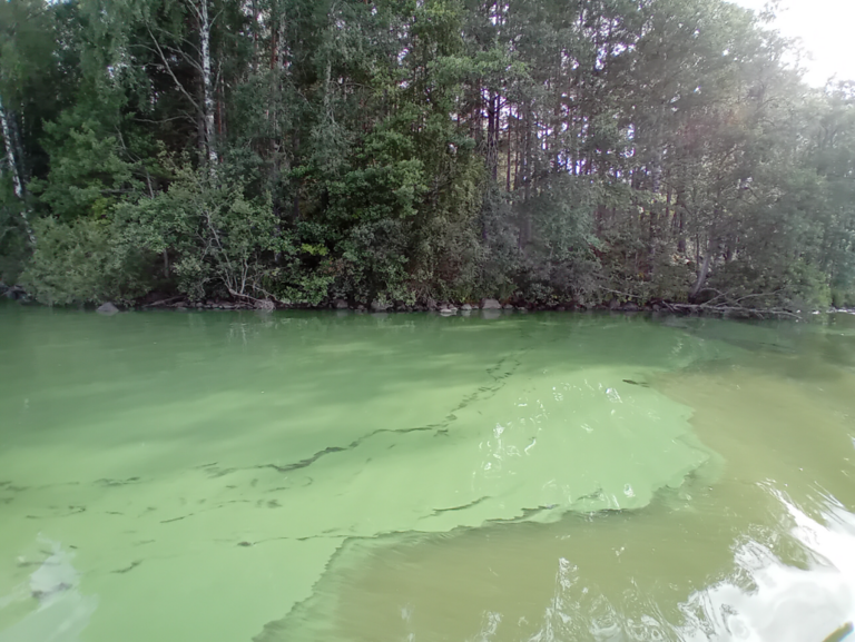 Hiidenvesi (23.031.1.001)-Rysätarha-ObsIMG-202308121745-64d88f02e6ad5.png