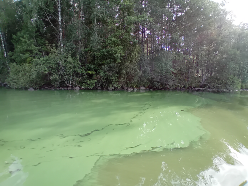 Tiedosto:Hiidenvesi (23.031.1.001)-Rysätarha-ObsIMG-202308121745-64d88f02e6ad5.png