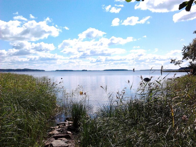 Kallavesi Itkonniemi.jpg