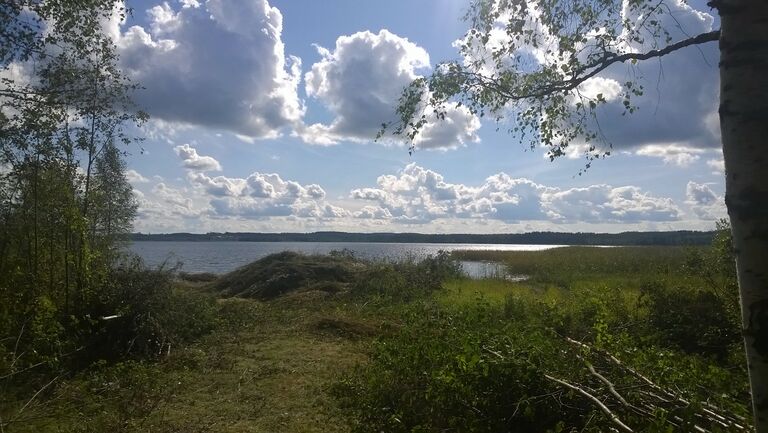 Niitettyä rantaa 15-08-2014.jpg