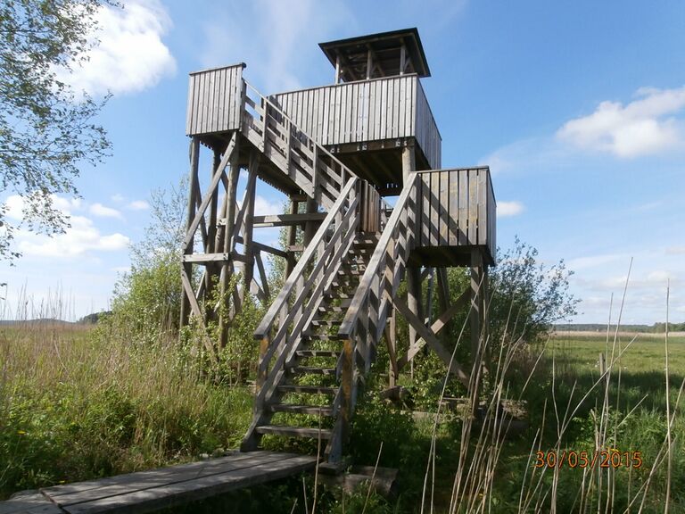 Ruskiksen lintutorni.JPG