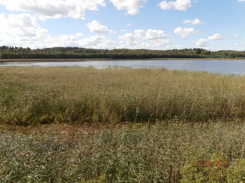 Tiedosto:Sylvojarven lintutornista.JPG