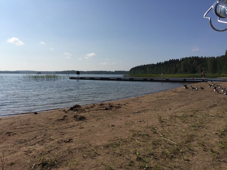 Urajärvi (14.123.1.001)-Valtakunnallinen sinileväseuranta-ObsIMG-201607261018-1.jpeg