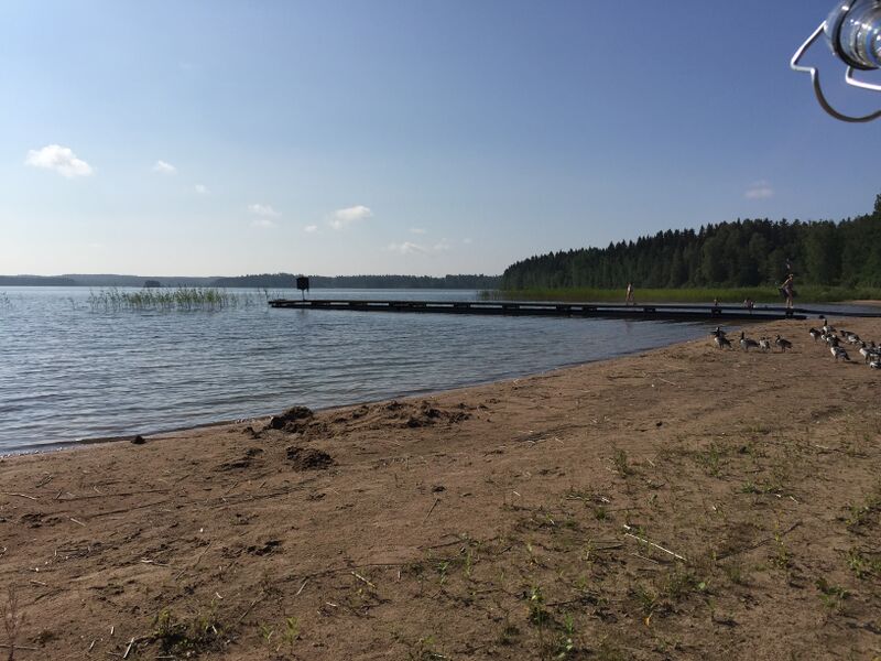 Tiedosto:Urajärvi (14.123.1.001)-Valtakunnallinen sinileväseuranta-ObsIMG-201607261018-1.jpeg