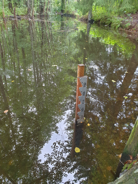 Tiedosto:Urpolanjoen valuma-alue (04.152)-Urpolan aarimaan puistoväylän silta-ObsIMG-202509211238-1758447594640.png