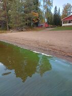 Kallavesi (yhd.)/Valtakunnallinen sinileväseuranta (Simpan uimaranta)