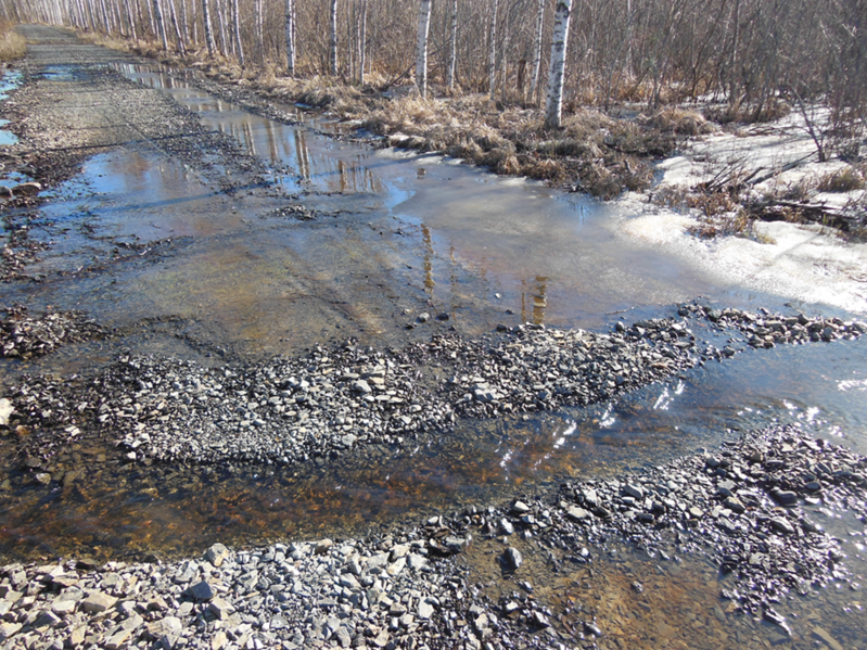 Tiedosto:DSCN5842 Alue4 Lumi.png