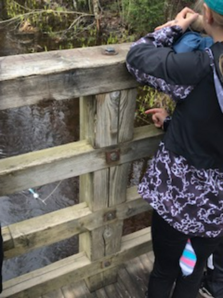 Tiedosto:Emolanjoen valuma-alue (04.153)-Kalevankangas 2-ObsIMG-202205131020-627e0885e0917.png