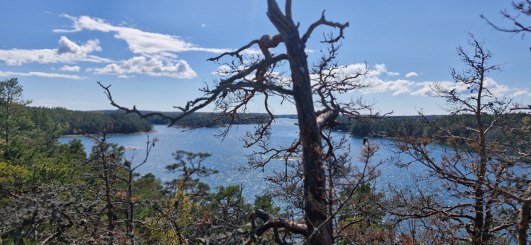 Rymättylän ja Houtskarin välinen saaristo-Seili, Saukkovuori-ObsIMG-202505101425-681f37fa0ef4a.png