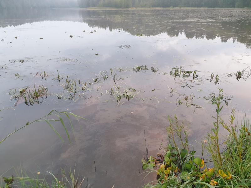 Tiedosto:Urpolanlampi (04.152.1.001)-Uusi hulevesiputki-ObsIMG-202409032108-66d7552af16d5.png