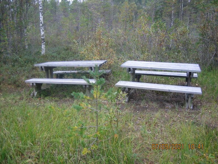 Vareslammen ruokailuryhmät.JPG